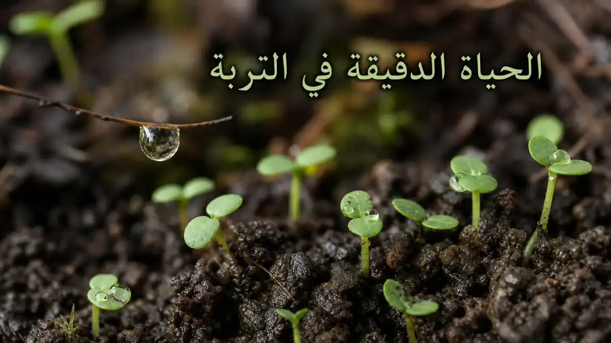 تربة رطبة ونباتات صغيرة ترمز إلى الجيومسين والكائنات الدقيقة