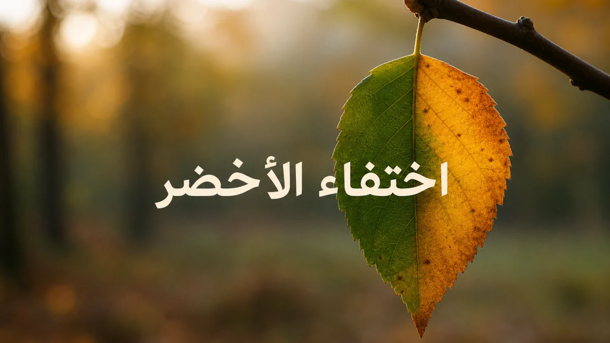 ورقة شجر تتحول من الأخضر إلى الأصفر والبرتقالي في الخريف