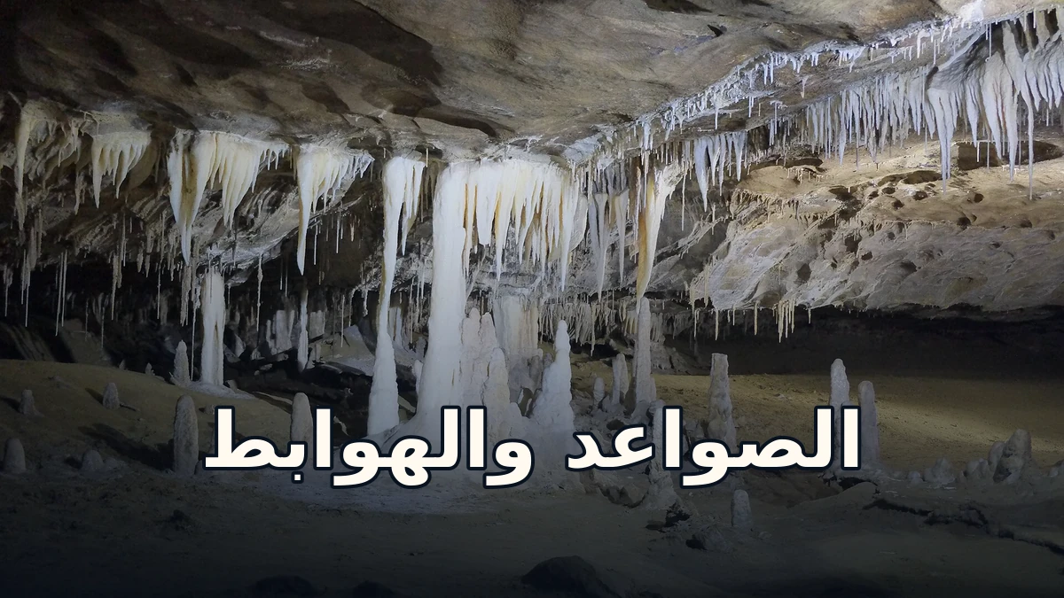 صواعد وهوابط كلسية داخل كهف مترو تي أنانوي في نيوزيلندا
